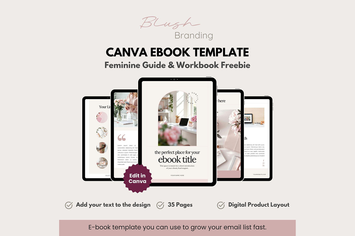 Canva Template Blush Lead Magnet, a Marketing Template by Hayley's Digital Hub (Photo 1 of 10)