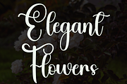 Elegant, a Handwritten Font by InermediaSTUDIO (Thumbnail 7 of 8)