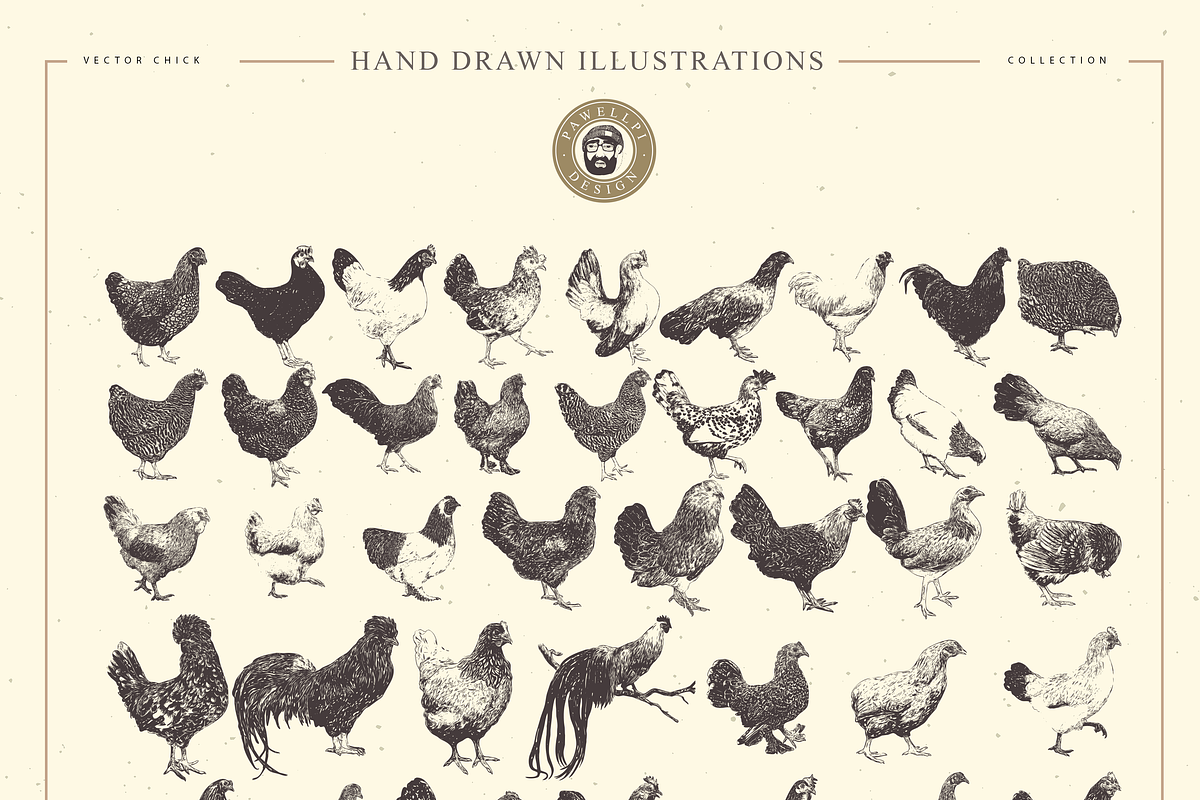 VECTOR CHICK HAND DRAWN BUNDLE VOL25, an Animal Illustration by pawellpi (Photo 9 of 9)