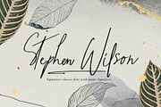 The Maestro - Signature Classic Font, a Script Font by Graphiqa Studio (Thumbnail 4 of 11)
