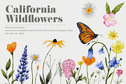 California Wildflowers, a Pattern Graphic by The Audacious Brush (Thumbnail 1 of 9)