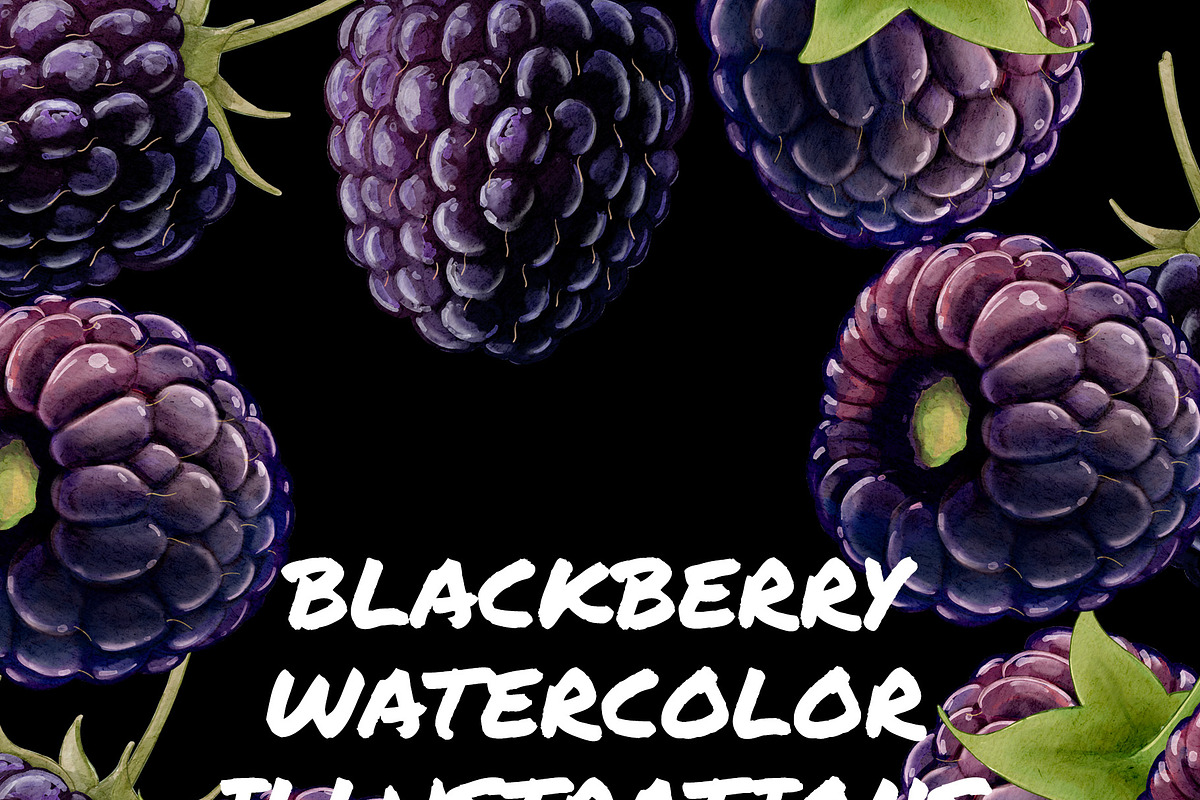 Digital Watercolor Raspberry + Bonus, a Food Illustration by wedraw (Photo 3 of 4)