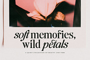 The Andalucia Serif, a Serif Font by Pista Mova (Thumbnail 10 of 26)