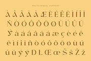 Windels - Elegant Serif Logo Font, a Serif Font by Pekotype (Thumbnail 5 of 15)