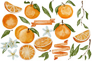Watercolor Orange clipart PNG, a Decorative Illustration by LuiDesignStudio (Thumbnail 2 of 4)