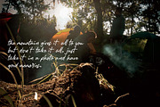 John Young, a Script Font by Secondivison Supply (Thumbnail 4 of 8)