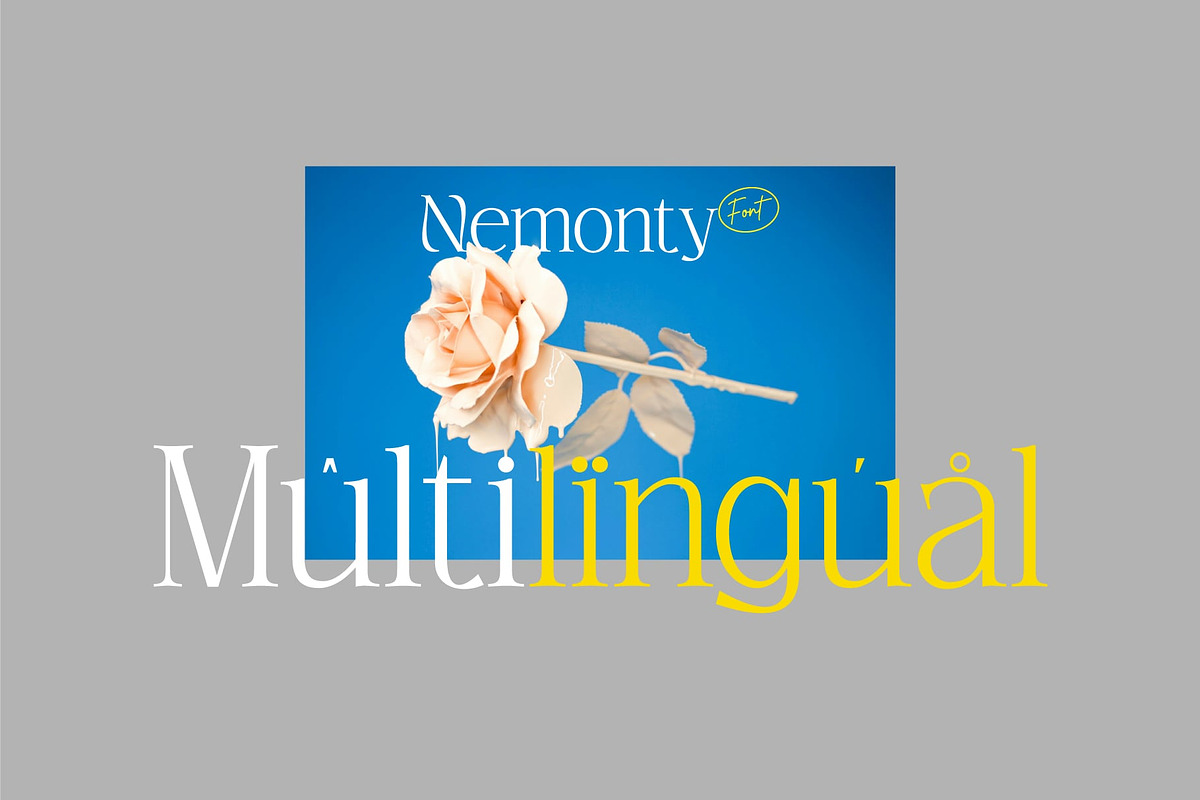 Nemonty - Minimalist Font, a Serif Font by Salamahtype (Photo 9 of 9)