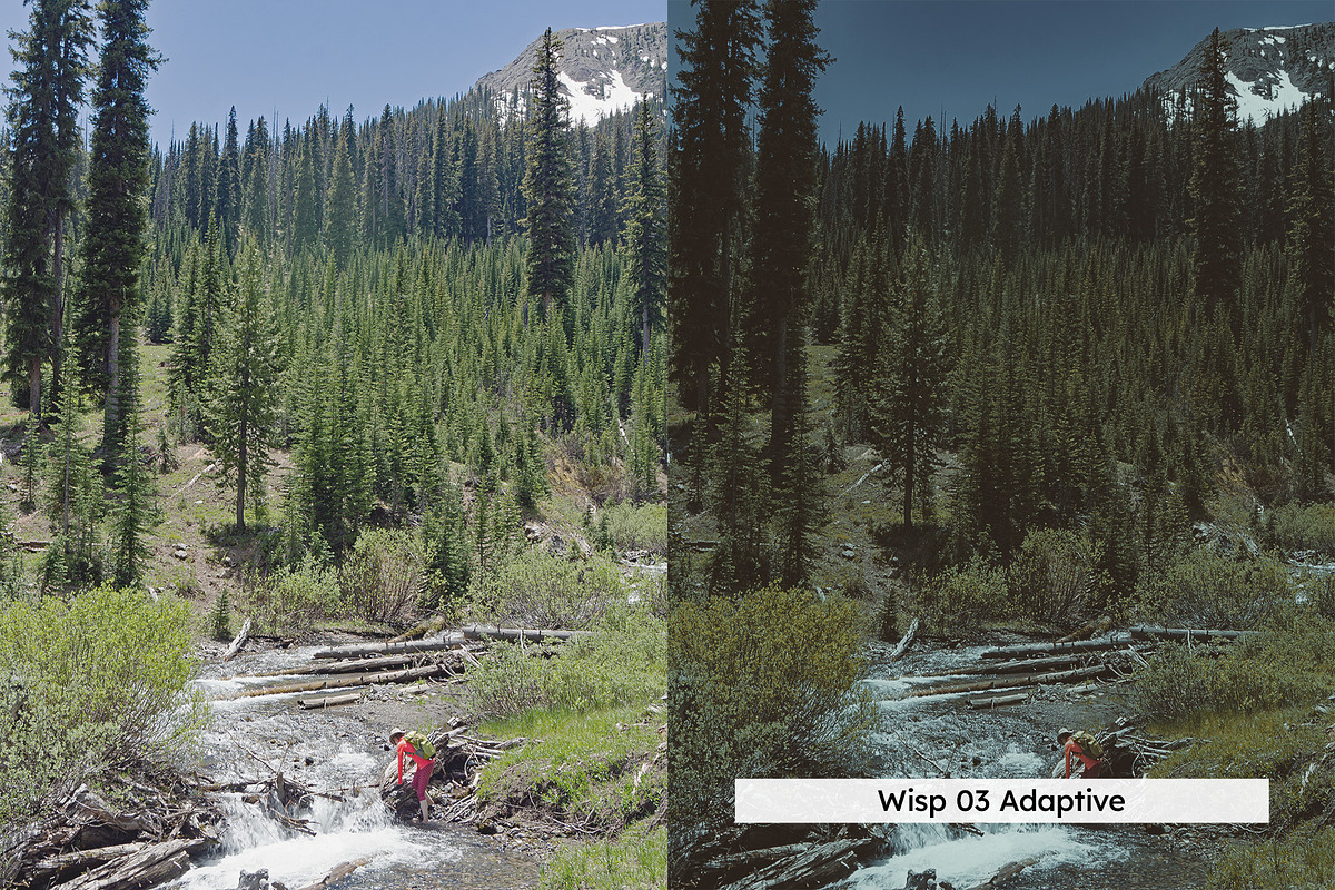 20 Vintage Nature Lightroom Presets, a Preset Add-On by SparkleStock (Photo 15 of 17)