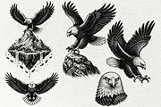 Eagle Wildlife Engraving Graphics, an Animal Illustration by DENIDigitalArtSudio (Thumbnail 6 of 7)