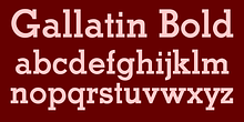 Gallatin Bold