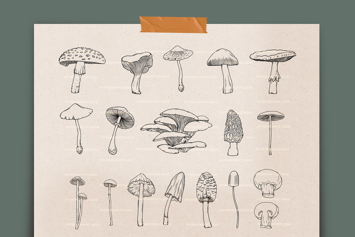 Mushroom brushes for Procreate, a Brush Add-On by PDknyStudio