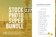 200+ California Stock Photo Bundle, a Business Photo by Template Monkey @dscience (Thumbnail 3 of 38)