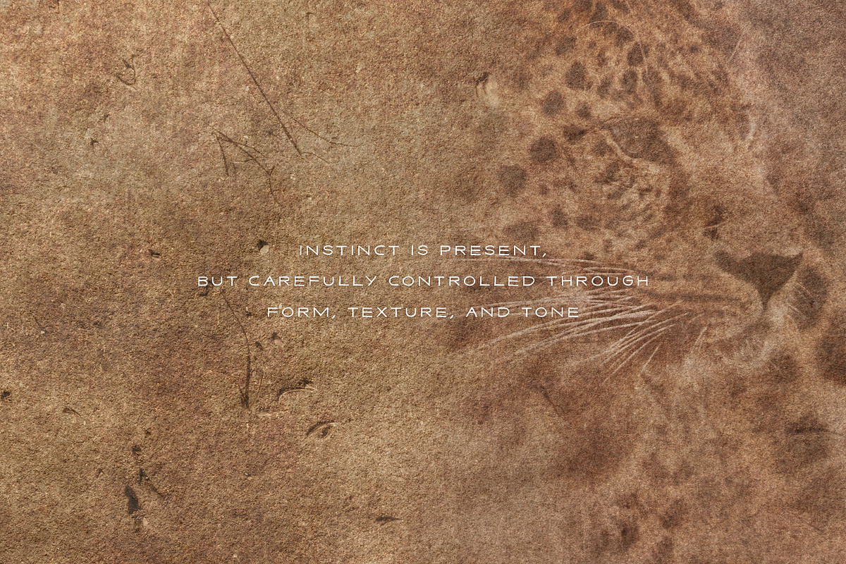 Vestige · Primal Earth Backgrounds, a Background Graphic by alonahaidash (Photo 6 of 16)