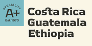 Meguro Serif, a Serif Font by GT&CANARY (Thumbnail 3 of 12)