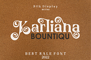 Silk Display, a Font by LuhopCreative (Thumbnail 13 of 17)