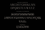 Magisse Display Serif Font, a Serif Font by Storytype Studio (Thumbnail 13 of 15)