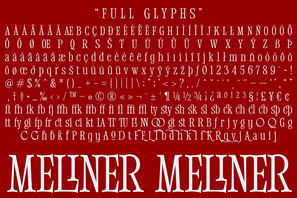 Meliner, a Serif Font by Dora Typefoundry (Photo 12 of 12)