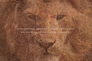 Vestige · Primal Earth Backgrounds, a Background Graphic by alonahaidash (Thumbnail 2 of 16)