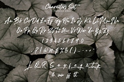 Freestyle Handwritten Script, a Script Font by Anxiety Studio (Thumbnail 16 of 16)