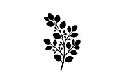 Eucalyptus Branch Silhouette Set, an Object Graphic by Creativeshirt (Thumbnail 3 of 3)