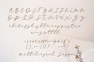 Kastina - Signature Script Font