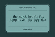 Tapak Dragon Serif Fonts, a Serif Font by mahstudios (Thumbnail 9 of 15)