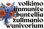 Birvase Display Font, a Serif Font by Bagerich Type Foundry (Thumbnail 10 of 12)