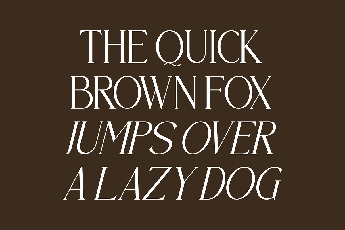 Brastoville - Modern Serif Font, a Serif Font by Rishsketch (Photo 12 of 15)