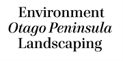 Cardillac Text, a Serif Font by Hoftype (Thumbnail 8 of 15)