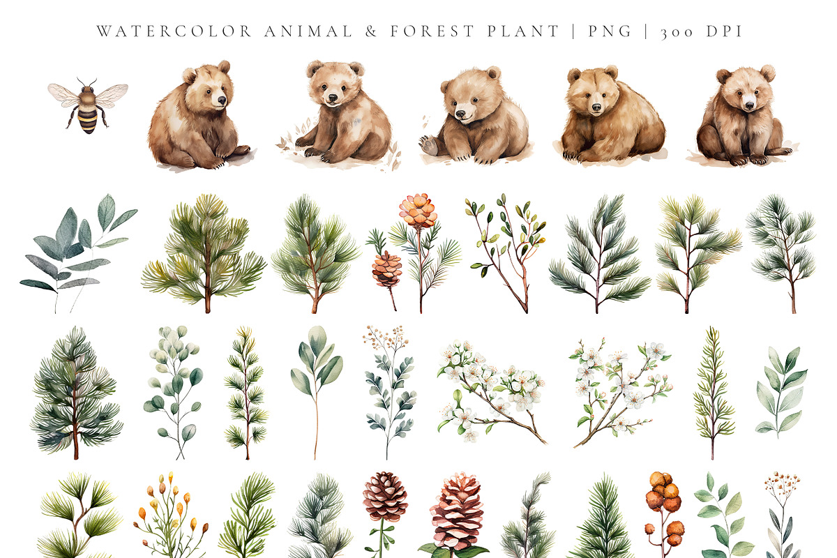 Watercolor Bears in the Forest Cute, an Animal Illustration by Pati Paints (Photo 2 of 13)