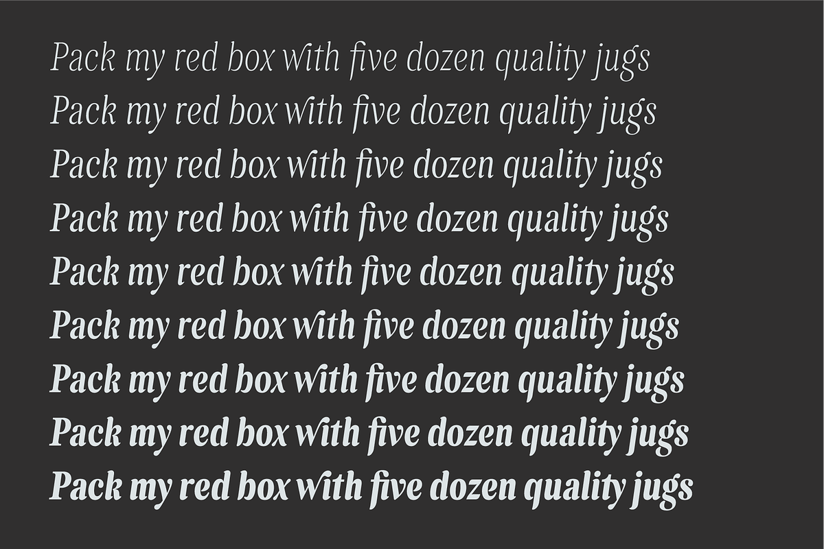 Levino Font Family, a Font by Punch (Photo 6 of 10)