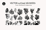 Algae & Coral Vector + Watercolor, an Object Illustration by IrenKlm (Thumbnail 4 of 4)