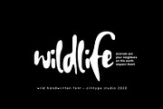 Jackfire - Wild handwritten Font, a Handwritten Font by Cititype (Thumbnail 4 of 15)