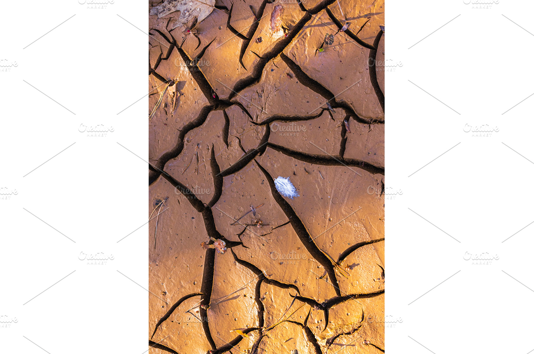 Cracked Earth. An arid landscape, a Background Photo by Lukas Jonaitis SHOP