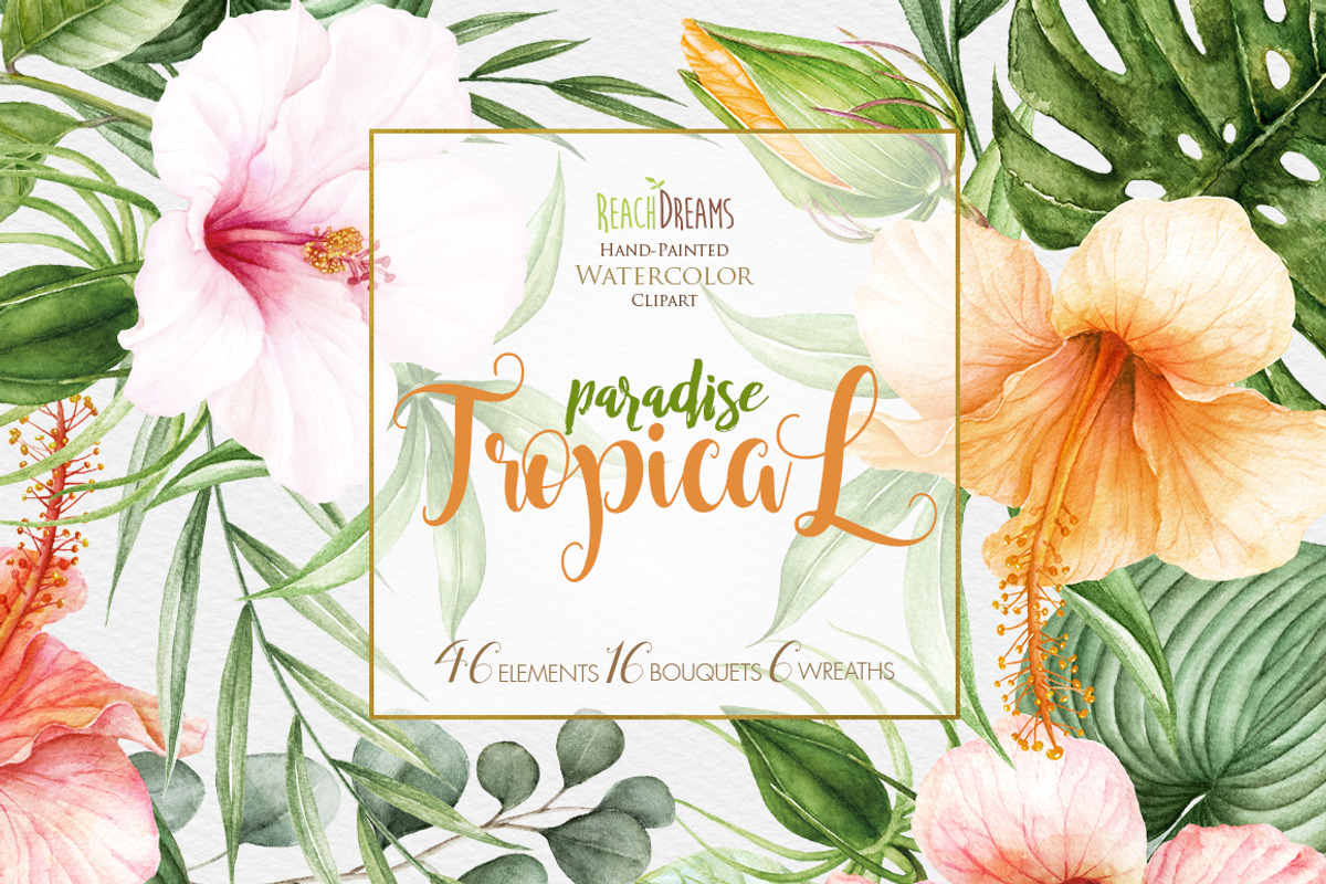 Tropical watercolor collection, a Decorative Illustration by ReachDreams (Photo 1 of 6)