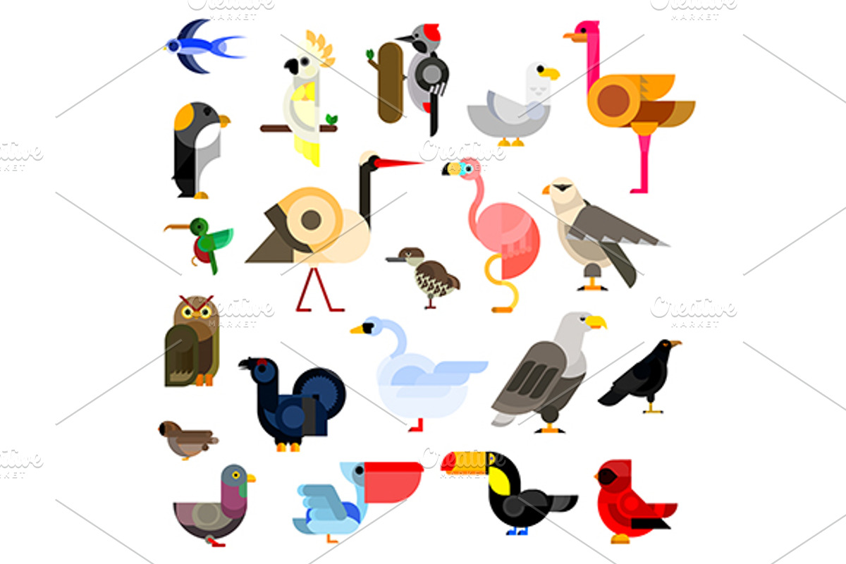 Cartoon flat icons of birds, an Icon by Vector Tradition
