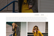 .co|co - shopify theme, a Shopify Template by inSTUDIO43 (Thumbnail 2 of 10)