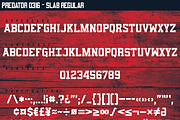 Predator 0316 - Full Family, a Sans Serif Font by Eargle Design, LLC (Thumbnail 20 of 20)