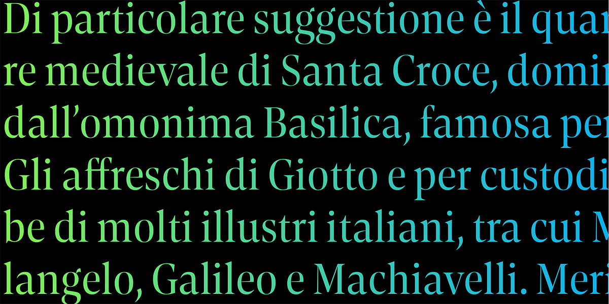 Contane Condensed, a Serif Font by Hoftype (Photo 9 of 14)
