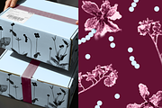 HERBARIA. Pressed Wildflower Scans, an Object Graphic by Schumacher Shop (Thumbnail 15 of 21)