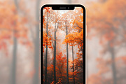 Autumn Forest Phone & iPad Wallpaper, a Graphic by Kalindiprints (Thumbnail 2 of 6)