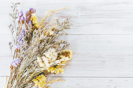 Dried flower on wooden background stock photo containing autumn and back, a Nature Photo by Art_Photo