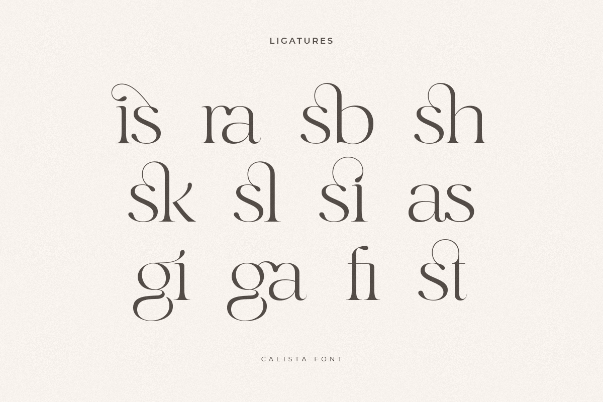 Calista - Classy Elegant Font, a Serif Font by Sensatype (Photo 9 of 21)