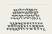 Dorige – Modern Retro Serif Font, a Serif Font by Issam Type (Thumbnail 12 of 13)