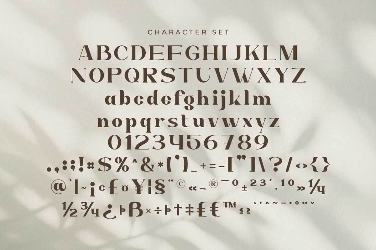Bigvalue – Premium Jewelry Serif, a Serif Font by Artiveko (Photo 2 of 8)