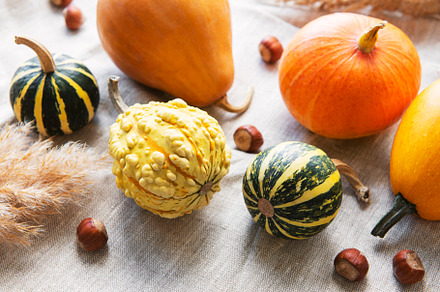 A rustic autumn still life with pumpkins, a Food & Drink Photo by Olena Rudo