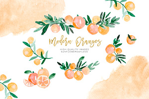 Orange Citrus Watercolor Clipart