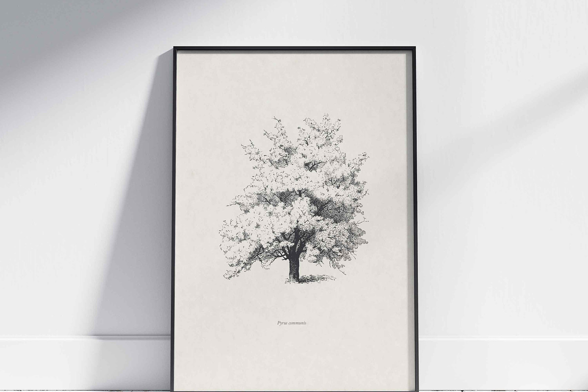 Vintage Tree Vector Bundle Vol. 3, an Object Illustration by Seaquint (Photo 4 of 5)