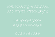 Glenor Script Font, a Script Font by Creative Foundry (Thumbnail 7 of 9)
