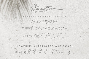 Signastia Monoline Signature Font